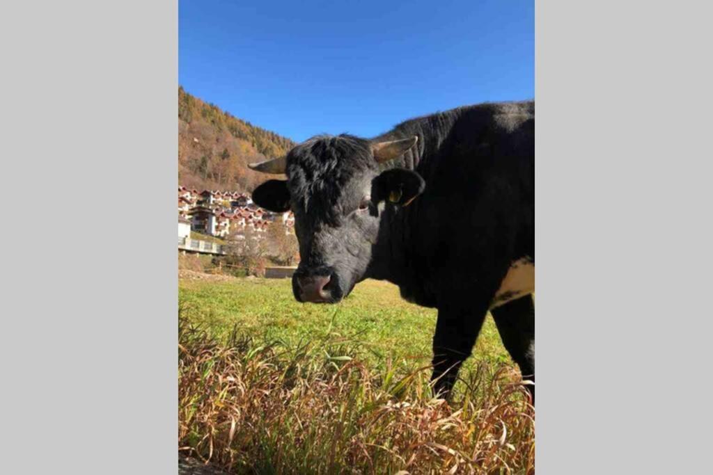 Tabla - Confort Ed Eleganza A 100 Mt Dagli Impianti Aprica Kültér fotó